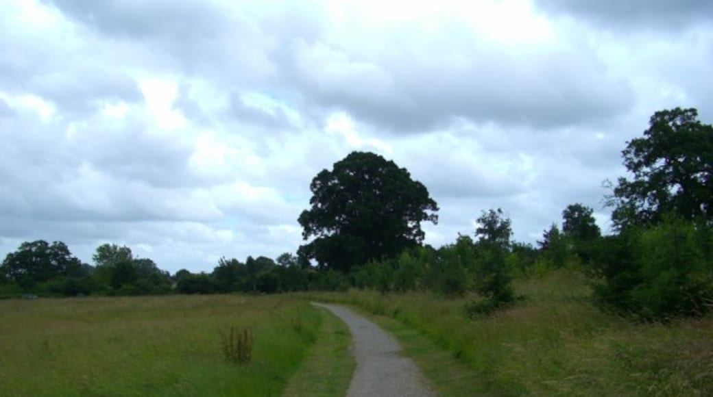 Photo "Southwick Country Park" by Philip Reed (CC BY-SA) / Cropped from original