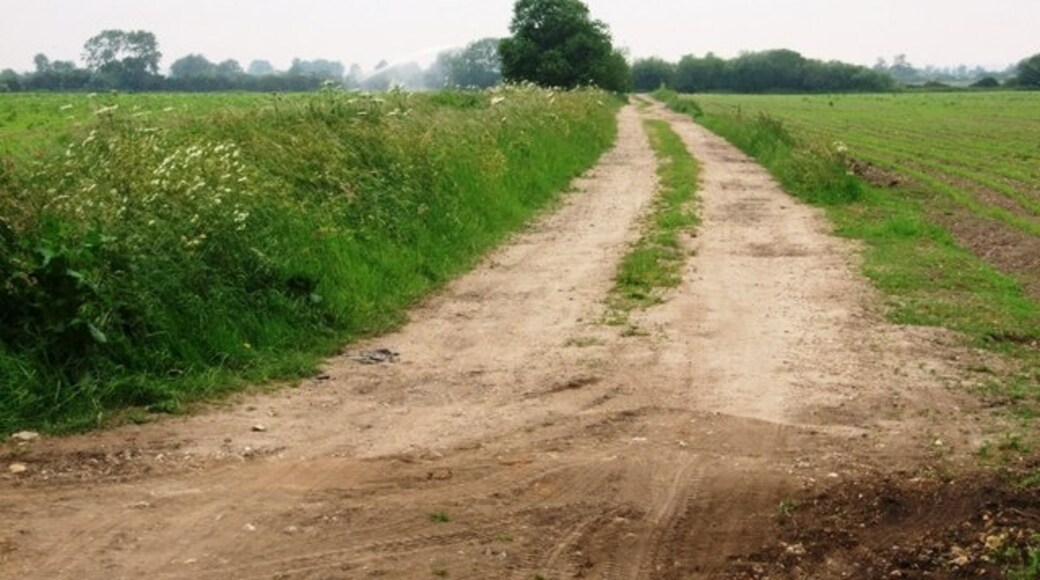 Kuva ”Tattershall Thorpe” käyttäjältä Donnylad (CC BY-SA) / rajattu alkuperäisestä kuvasta