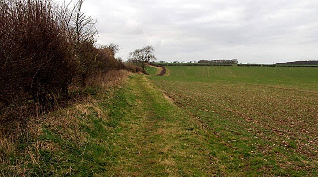 Photo "Wold Newton" by Mr T (CC BY-SA) / Cropped from original