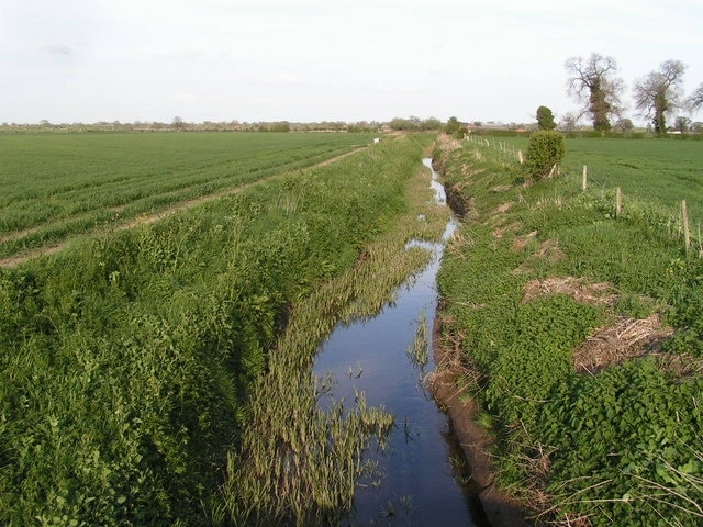 Ditch, Burton Meadows. Taken from the footbridge just north of the Golden Grove Inn.