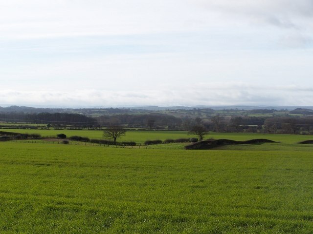 Foto “Aiskew” tomada por Rob Bainbridge (CC BY-SA); recorte de la original