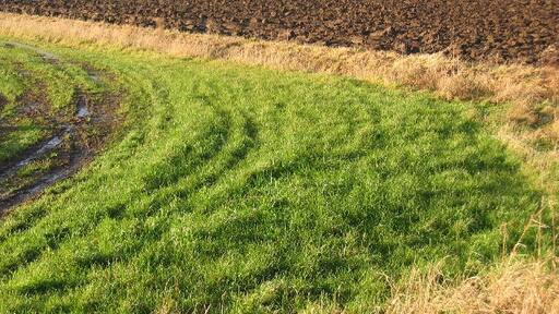 Foto “North Frodingham” tomada por Stephen Horncastle (CC BY-SA); recorte de la original