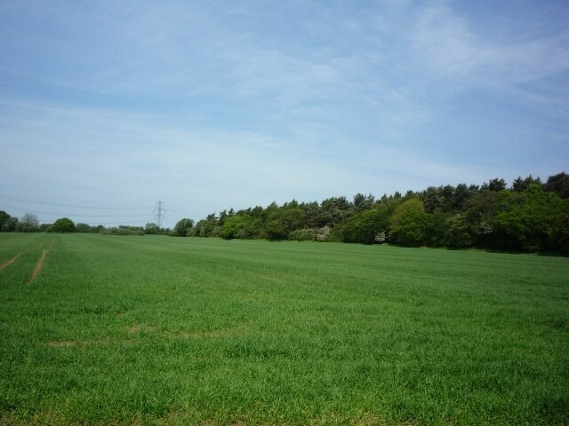 "Thornton"-foto av DS Pugh (CC BY-SA) / Urklipp från original