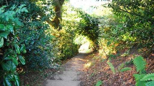 « Crockham Hill», photo de Nigel Chadwick (CC BY-SA) / rognĂ©e de lâoriginale