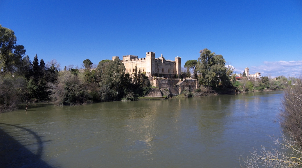 Castillo de Malpica, Malpica de Tajo, Castilla - La Mancha, Spain