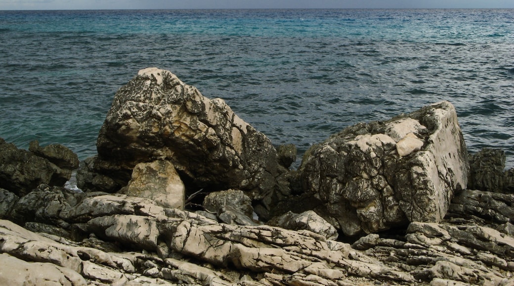 Photo "Cala Gonone" by paciana (CC BY) / Cropped from original