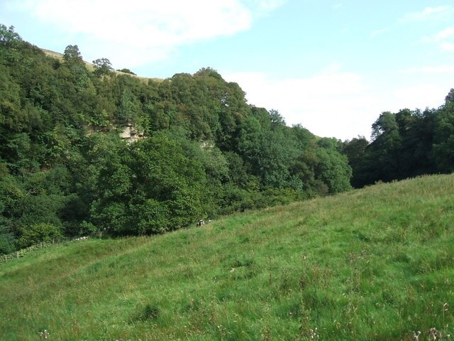 Photo "Kaber" by David Brown (CC BY-SA) / Cropped from original