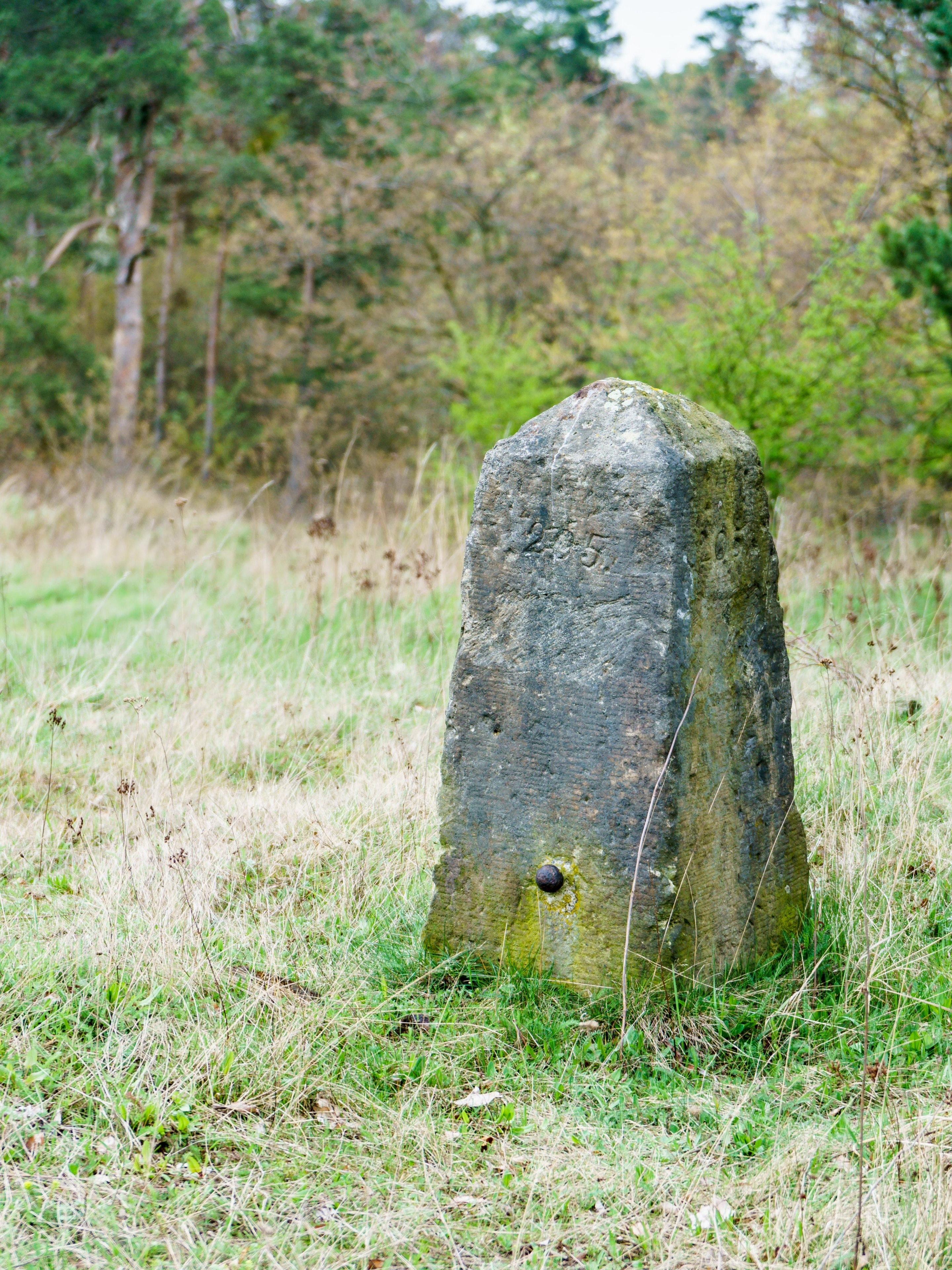 Foto "Zeithain" de Radler59 (CC BY-SA) / Recortada do original