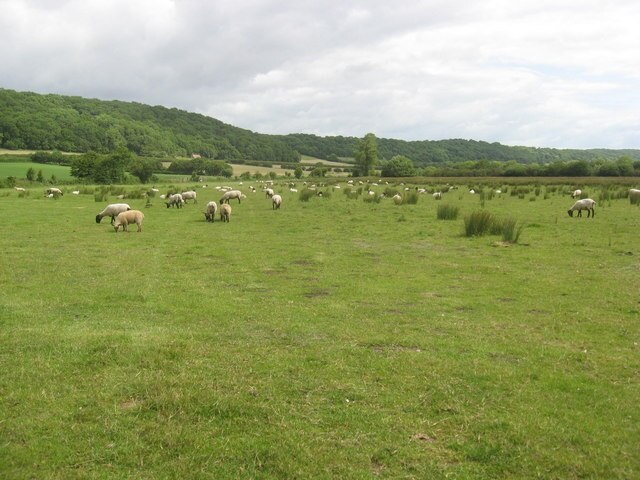 "Walton-in-Gordano"-foto av Dr Duncan Pepper (CC BY-SA) / Urklipp från original