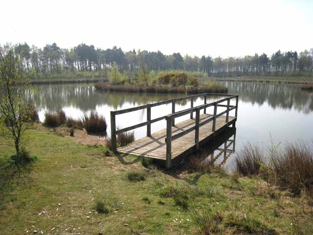 Photo "Greater Willington" by Oliver Dixon (CC BY-SA) / Cropped from original