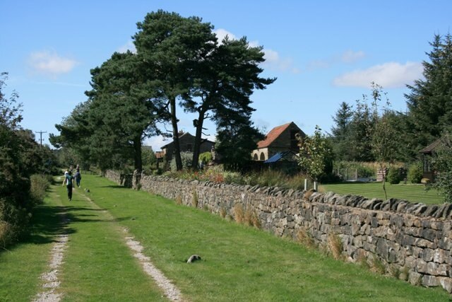 Kuva ”Newton” käyttäjältä Mick Garratt (CC BY-SA) / rajattu alkuperäisestä kuvasta