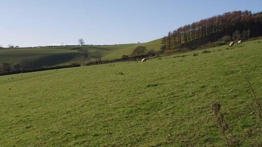 Photo "Lower Blakewell" by Derek Harper (CC BY-SA) / Cropped from original