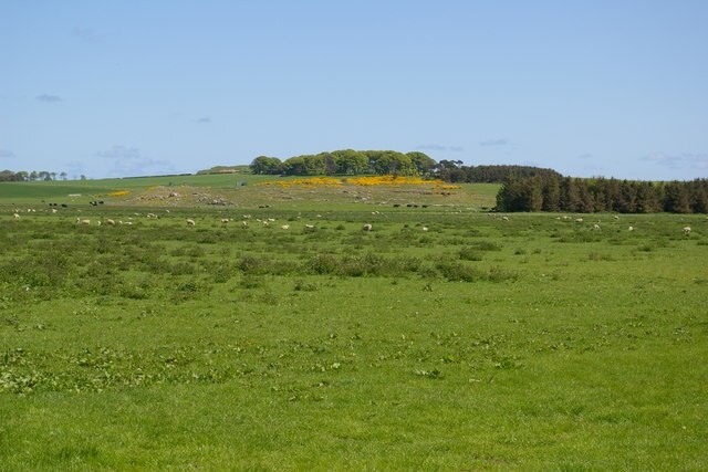 Foto „Shoreswood“ von John Whelan (CC BY-SA)/zugeschnittenes Original