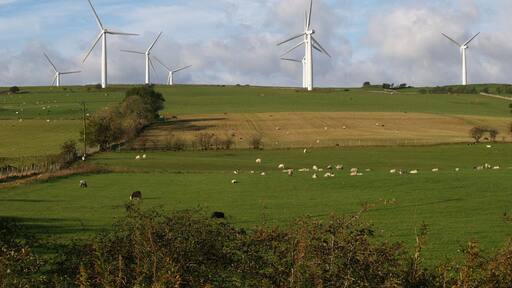 Photo "Bothel" by Adrian King (CC BY-SA) / Cropped from original