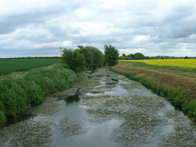 Foto “Kelk” tomada por Steve Brown (CC BY-SA); recorte de la original