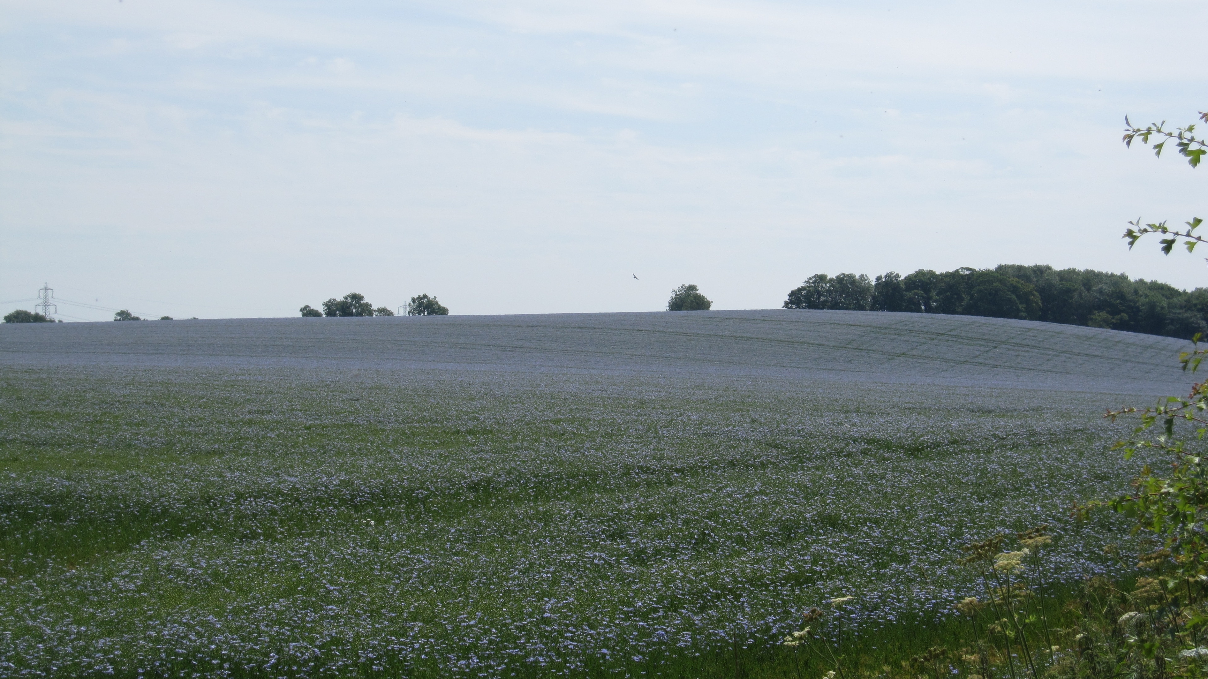 Foto “Castle Bytham” tomada por Bob Harvey (CC BY-SA); recorte de la original