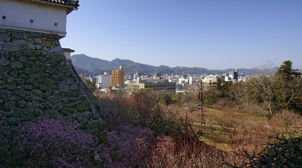 Foto „Burg Kōchi“ von 663highland (CC BY)/zugeschnittenes Original
