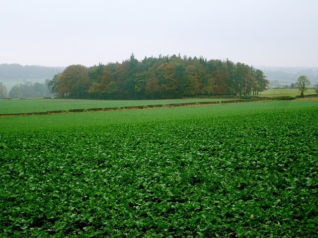 Kuva ”Westwick” käyttäjältä Andy Waddington (CC BY-SA) / rajattu alkuperäisestä kuvasta