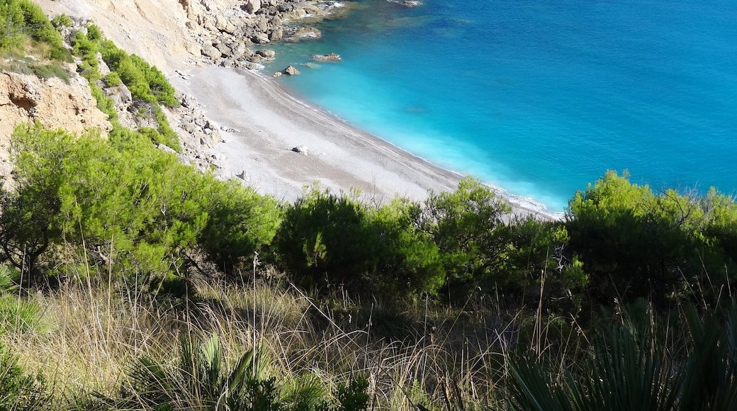Photo "Platja des Coll Baix" by Oltau (CC BY) / Cropped from original