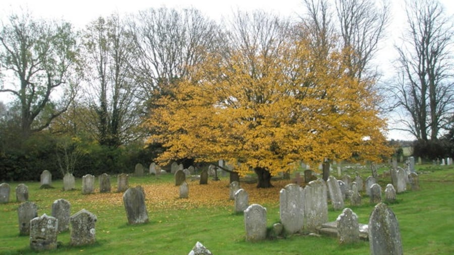 Photo "A golden glow on an otherwise dull day in Funtington Churchyard" by Basher Eyre (Creative Commons Attribution-Share Alike 2.0) / Cropped from original