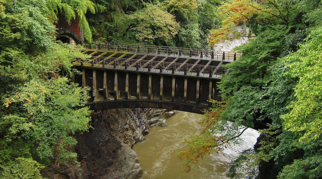 Foto ‘Otsuki’ van Qurren (CC BY-SA) / bijgesneden versie van origineel