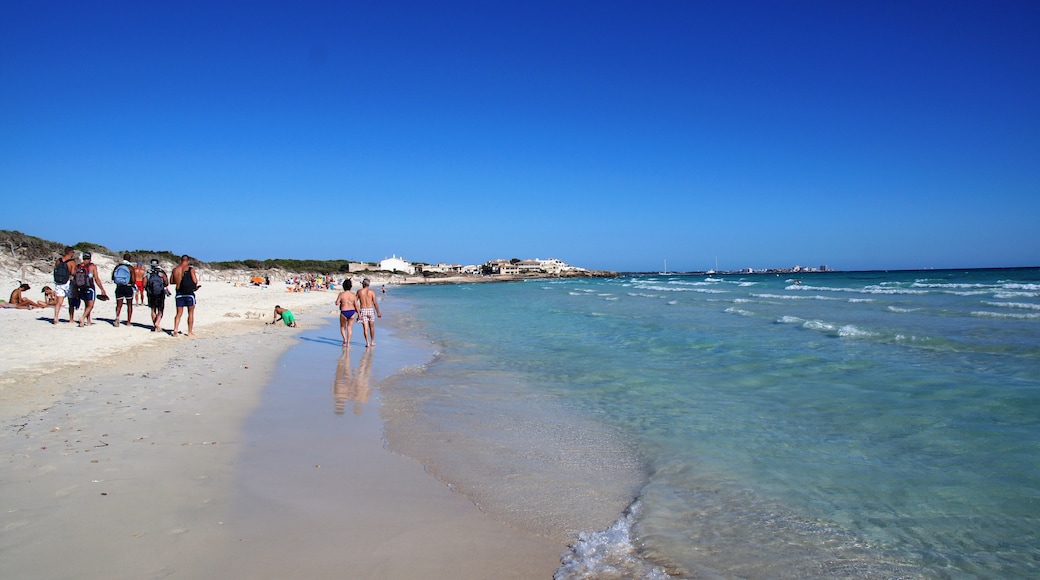 Foto ‘Playa de Ses Covetes’ van King Otto (CC BY-SA) / bijgesneden versie van origineel
