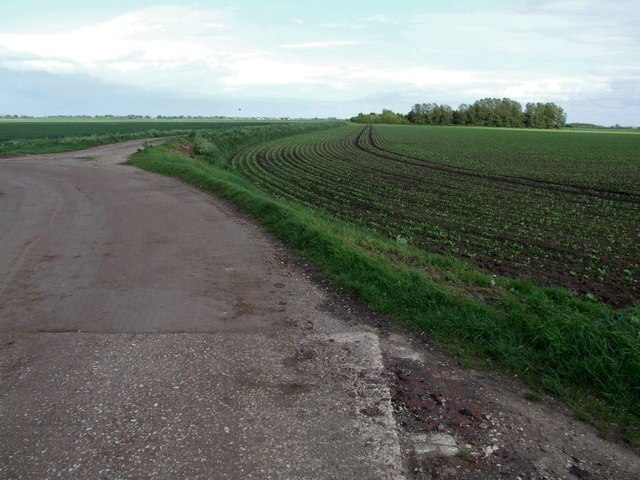 Foto "Toynton San Pedro" por Dave Hitchborne (CC BY-SA) / Recortada de la original