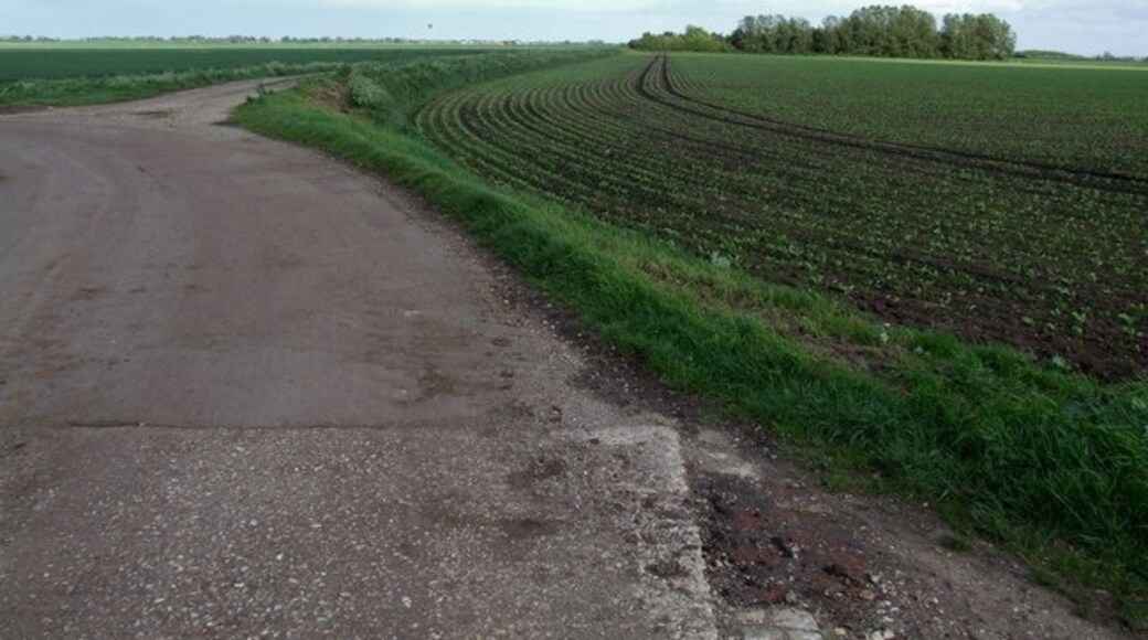 Foto "Toynton San Pedro" por Dave Hitchborne (CC BY-SA) / Recortada de la original