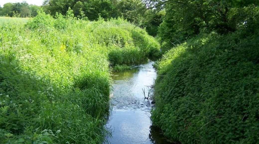 Foto "Hacheston" por Claire Haystead (CC BY-SA) / Recortada de la original