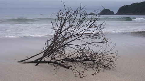下田 外浦海岸 周辺のホテル 宿泊予約 格安ホテル予約 最安値検索 ホテルズドットコム 下田 外浦海岸 周辺のホテル 宿泊予約 格安ホテル予約 最安値検索 ホテルズドットコム