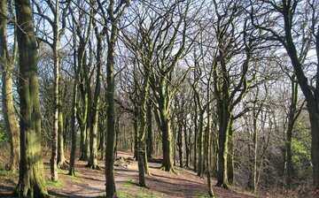 ラムズボトム観光ガイド 定番人気スポットを参考に自分にピッタリの観光プランを立てよう エクスペディア ラムズボトム観光ガイド 定番人気スポットを参考に自分にピッタリの観光プランを立てよう エクスペディア