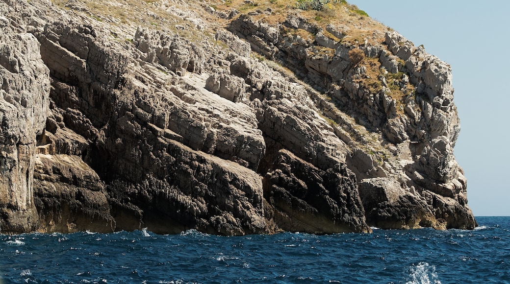 Photo "Punta Campanella Marine Reserve" by Arnoldius (CC BY-SA) / Cropped from original