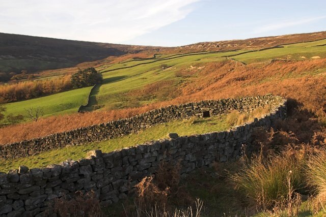 Foto „Farndale East“ von colin grice (CC BY-SA)/zugeschnittenes Original