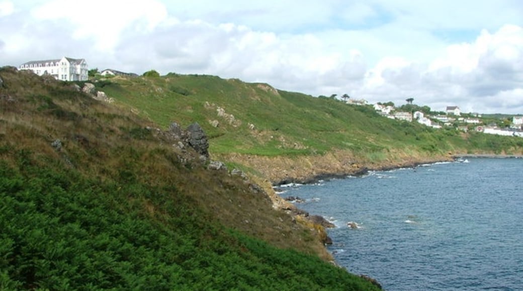 Photo "Coverack" by Nigel Homer (CC BY-SA) / Cropped from original
