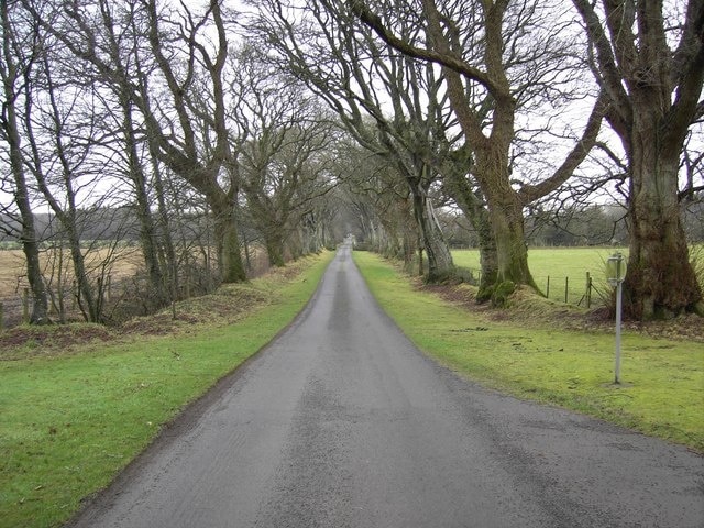 The Avenue. A tree lined avenue from the village of Clarencefield to Comlongon Castle Hotel.