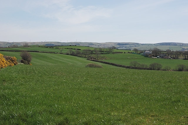 Fields near Gwarcaeau farm Good grazing land.