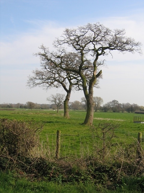 Foto "Rushton" de John S Turner (CC BY-SA) / Recortada do original