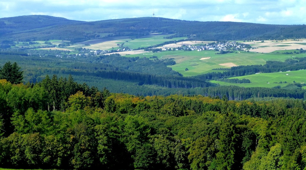 Foto "Parco Nazionale dell’Hunsrück-Hochwald" di giggel (CC BY) / Ritaglio dell’originale