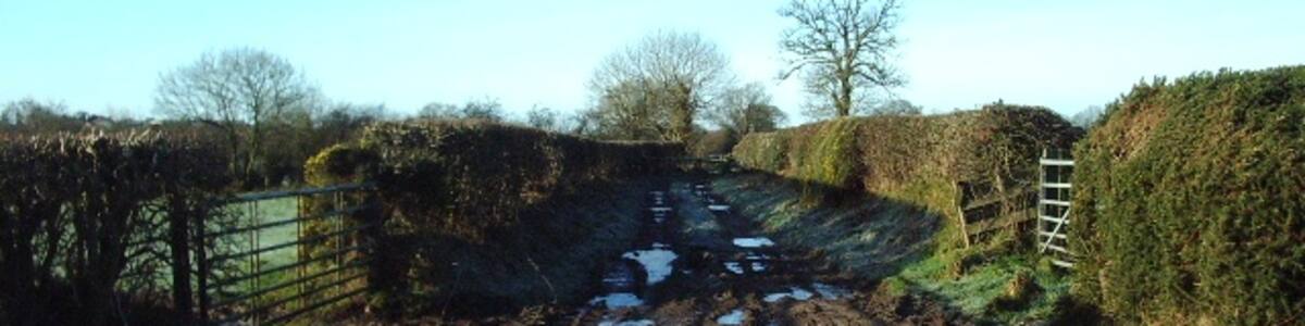 Photo "Muddy track" by Alexander P Kapp (Creative Commons Attribution-Share Alike 2.0) / Cropped from original