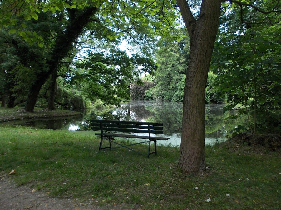 Castle pond in the gardens of Seusslitz Castle (Nünchritz, Meissen district, Saxony)