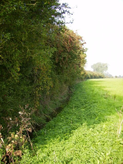 Foto “Middleton” tomada por Phil Catterall (CC BY-SA); recorte de la original