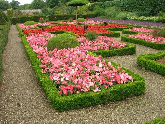 Summer Bedding, Sewerby Hall gardens, Sewerby, East Riding of Yorkshire, England. Attractive display surrounded by dwarf box hedging.