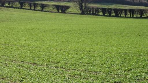 Photo "Ripple" by Nick Smith (CC BY-SA) / Cropped from original