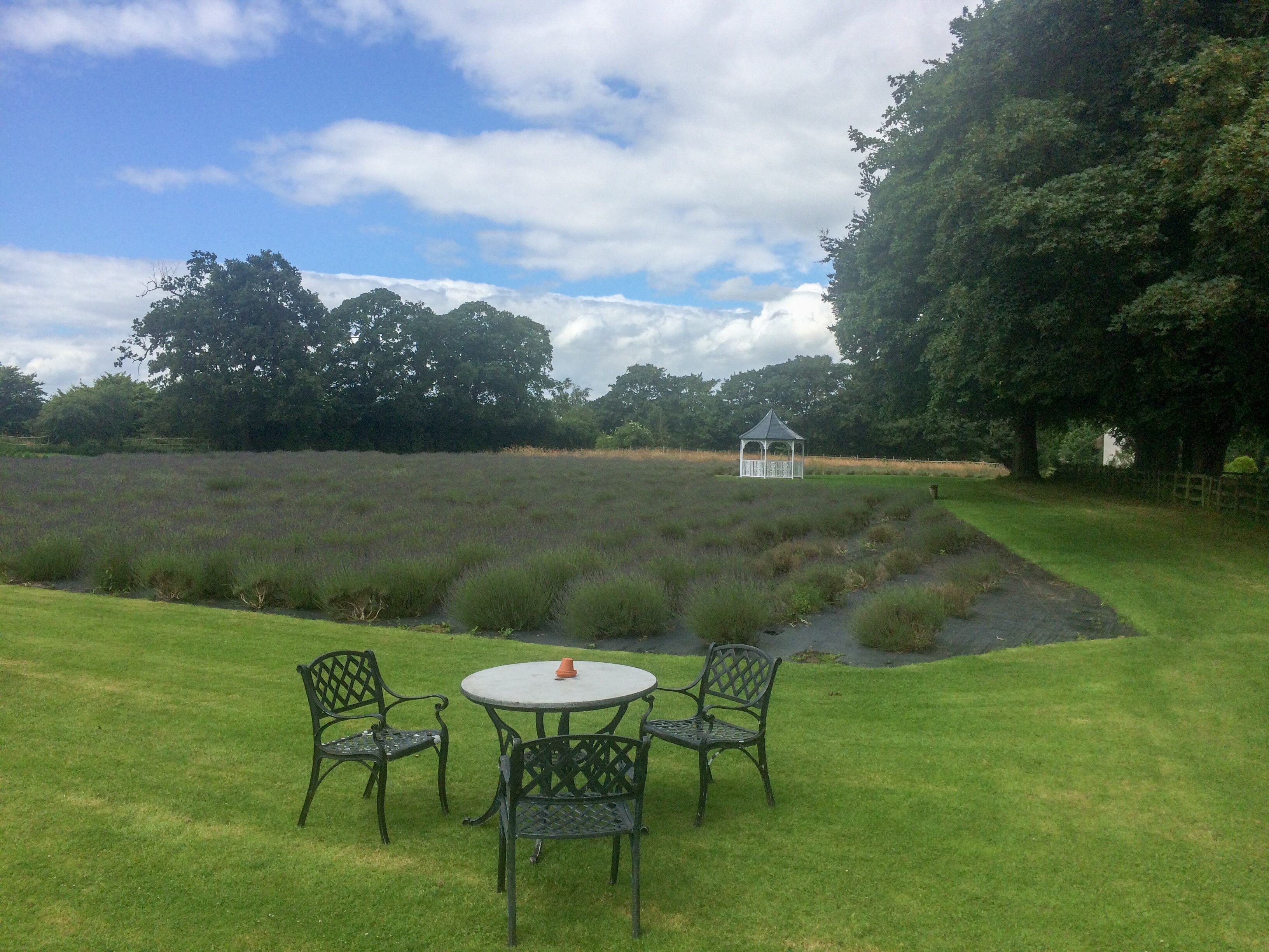 Ảnh "Swettenham" của Mike Peel (CC BY-SA) / Cắt từ ảnh gốc