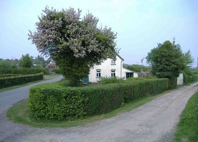 "Hanley"-foto av Roger Cornfoot (CC BY-SA) / Urklipp från original