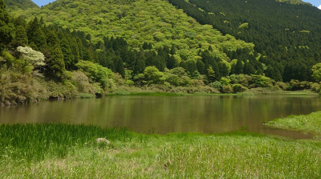 Photo "Hakajuku" by Quercus acuta (page does not exist) (CC BY-SA) / Cropped from original