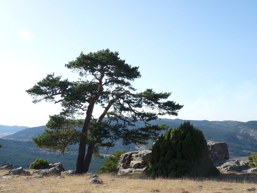 Cerca de la ermita