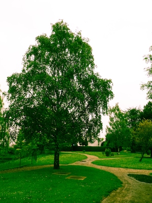 Entrée du parc