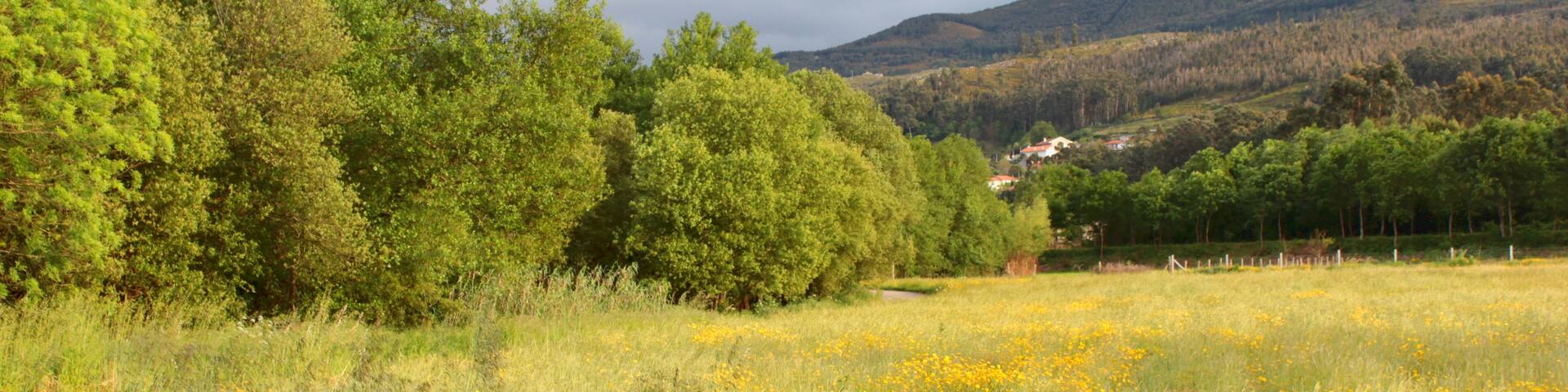 Verdoejo, Valenca, Distrito de Viana do Castelo, Portugal