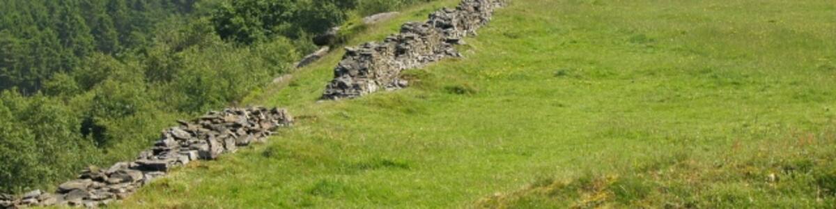 Photo "Old wall, Craig-y-perchyll Looking towards the Lletty-Rhys plantation." by Chris Eilbeck (Creative Commons Attribution-Share Alike 2.0) / Cropped from original